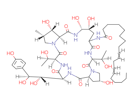 棘白菌素B/54651-05-7