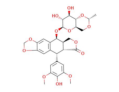 Etoposide