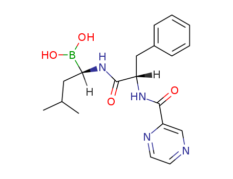 Bortezomib/179324-69-7